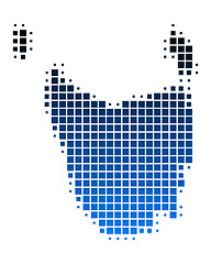 Image showing Map of Tasmania