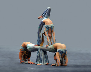 Image showing Contortionist girls