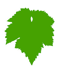 Image showing Vine leaf