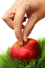 Image showing Apple and Hand