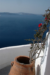 Image showing pot with plant over sea greek islands