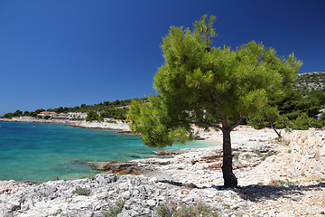 Image showing Adriatic Sea beach