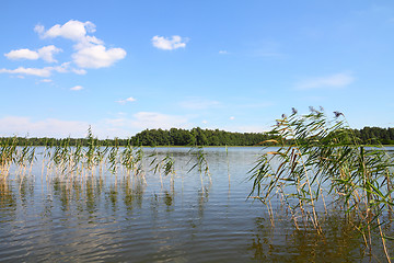 Image showing Mazury