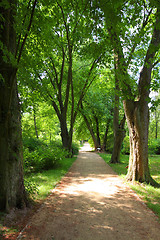 Image showing Kornik arboretum - Poland