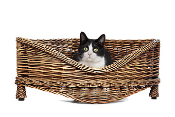 Image showing cat in wicker bed