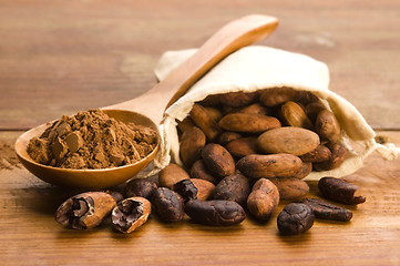 Image showing Cocoa (cacao) beans on natural wooden table