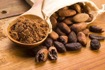 Image showing Cocoa (cacao) beans on natural wooden table