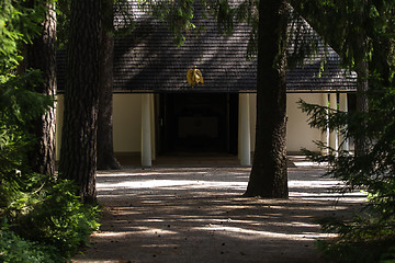 Image showing Forest cemetery