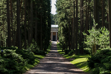 Image showing Forest cemetery