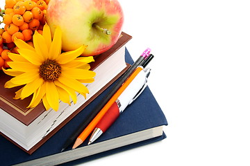 Image showing Textbooks, autumn fruit and flower.
