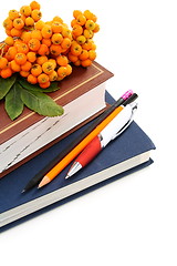 Image showing Books, pencils, and bunch of rowan.