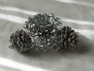 Image showing Silver and Pine Cones