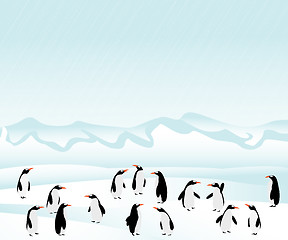 Image showing Penguins background