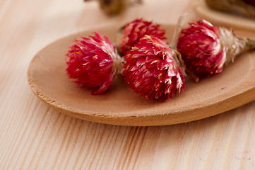 Image showing dry floral herbal tea