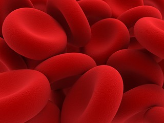 Image showing Red blood cells