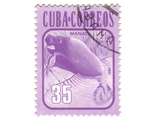 Image showing Old postage stamp from Cuba with Manatus 
