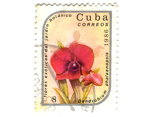 Image showing Old postage stamp from Cuba with flower 