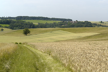 Image showing agricultural landscape in south germany