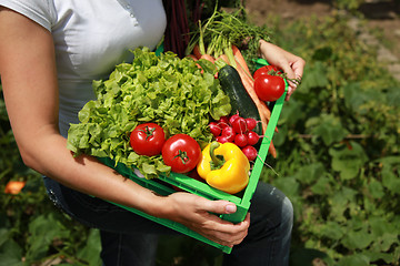 Image showing Fresh vegetables