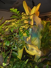 Image showing Dinosaur