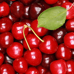 Image showing Cherries