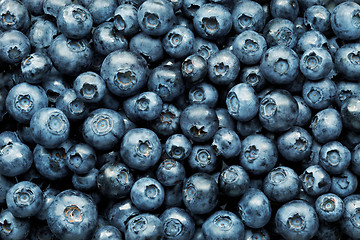 Image showing blueberries background