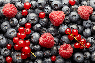 Image showing blueberries and raspberries