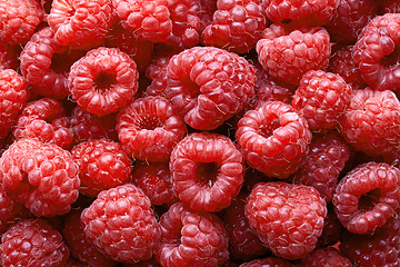 Image showing raspberries background