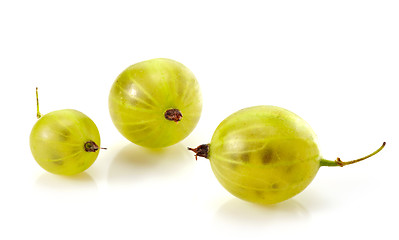 Image showing Green gooseberry fruit closeup