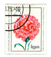 Image showing GERMANY - CIRCA 1975: stamp printed by Germany, shows IGA flower