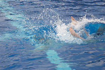 Image showing Dive splash