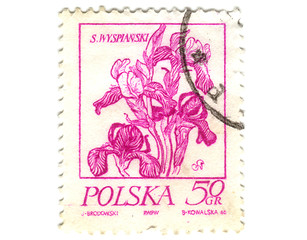 Image showing POLAND - CIRCA 1968: A stamp is printed in Poland, flower, let o