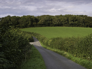 Image showing Country Lane