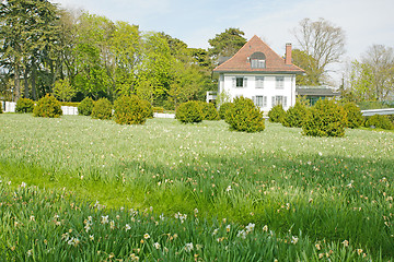 Image showing Beautiful house rounded by a green field