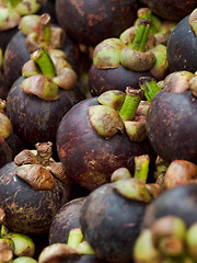 Image showing Pile of mangosteen