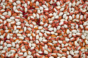 Image showing Dried beans. Healthy nutrition food background 