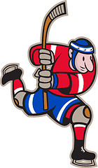 Image showing Ice Hockey Player Striking Stick