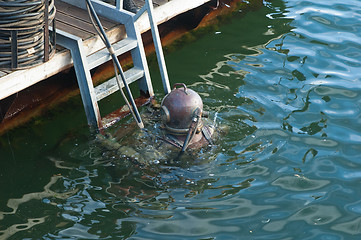 Image showing The diver plunges under water