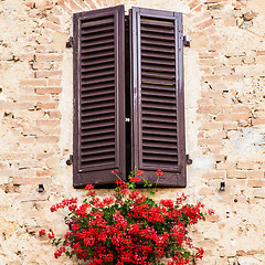 Image showing Windows in Tuscany