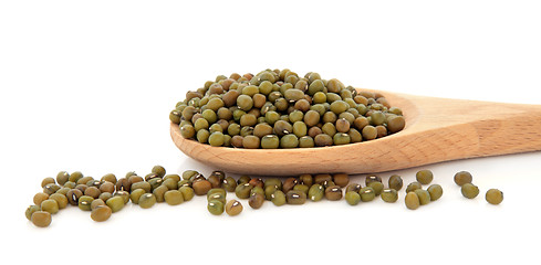 Image showing Mung Beans