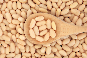 Image showing Cannellini Beans