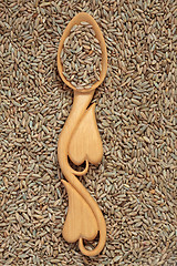 Image showing Rye Wheat Grain