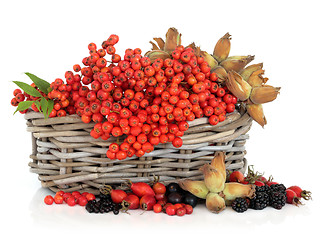 Image showing Autumn Harvest