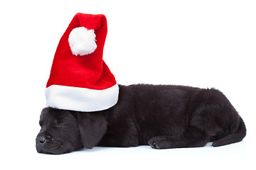 Image showing cute little santa