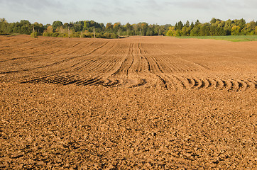 Image showing Agriculture plow autumn field. Loam soil prepare 