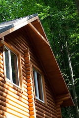 Image showing Summer wooden cottage in forest at sunny day