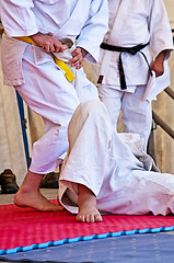 Image showing Judo