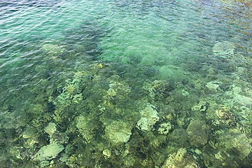 Image showing Sea water