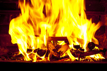 Image showing Fire wood burns in a fireplace