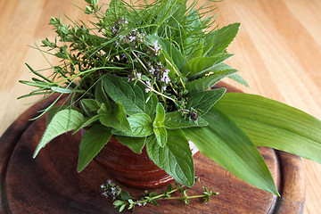 Image showing Herbs